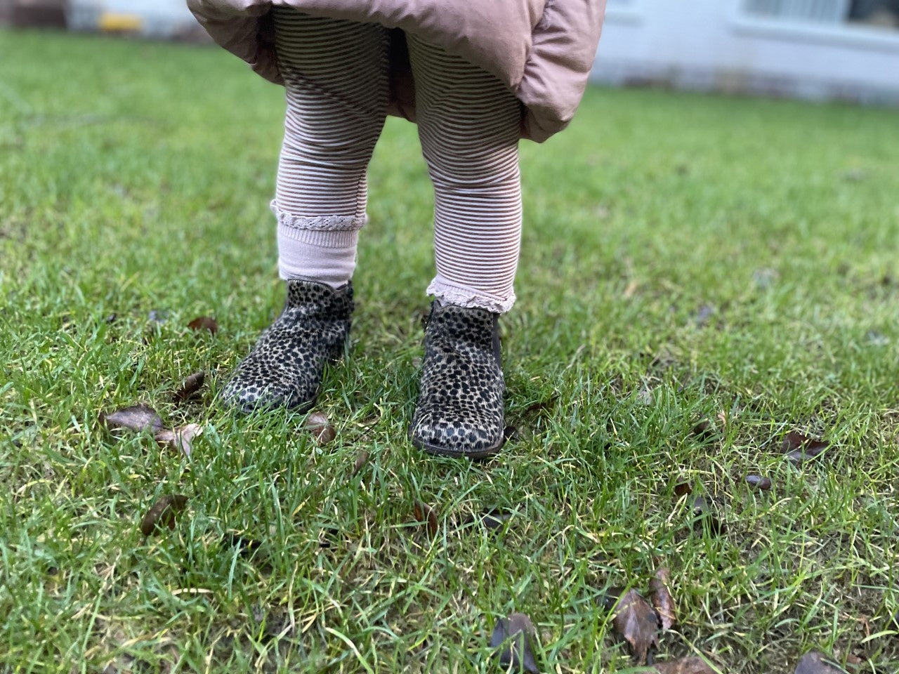 kniesokken met kant - old rose