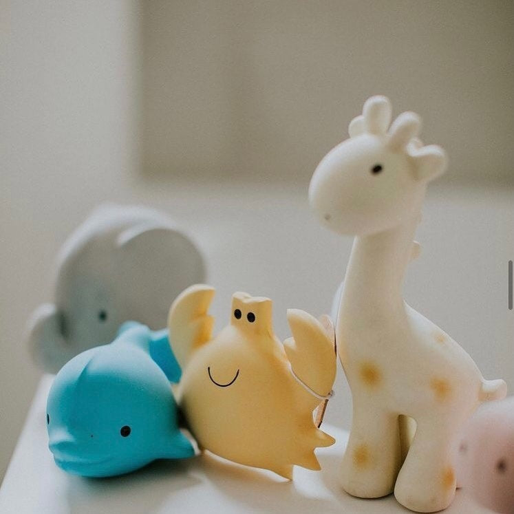 bijtring & rammelaar - dolfijn