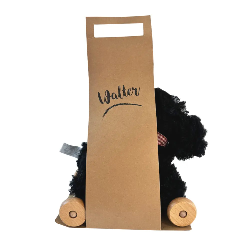 trekspeeltje hond - walter