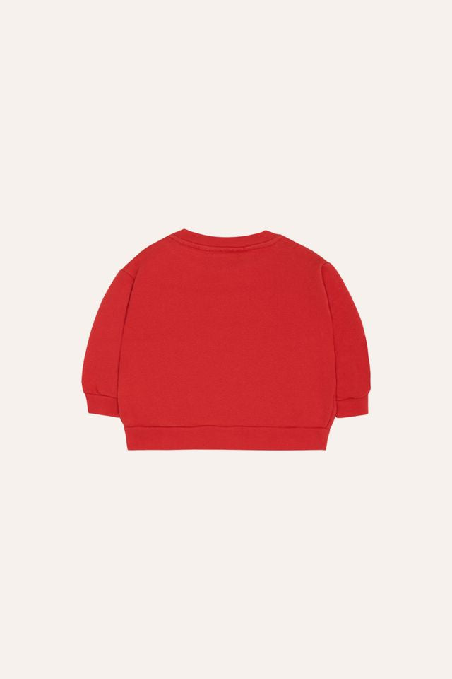 reading lion sweatshirt - baby