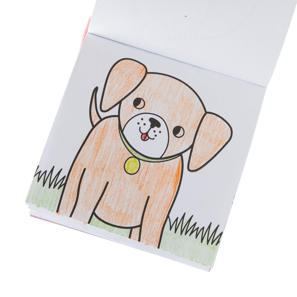 pet pals - set van kleurboek & 9 jumbo wasco's