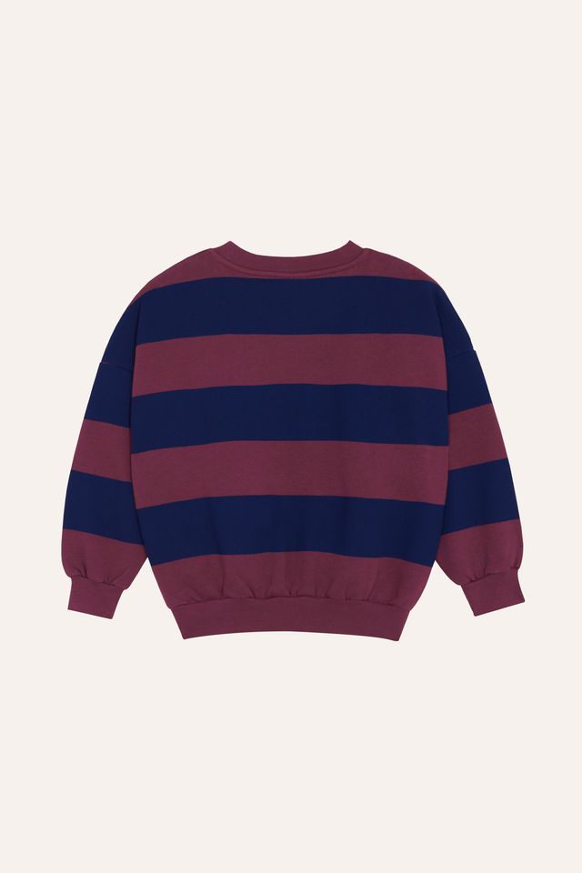 blue/burgundy stripes sweatshirt - kids