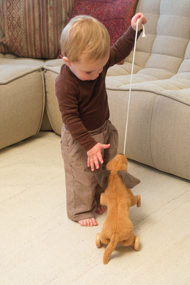 trekspeeltje hond - edward