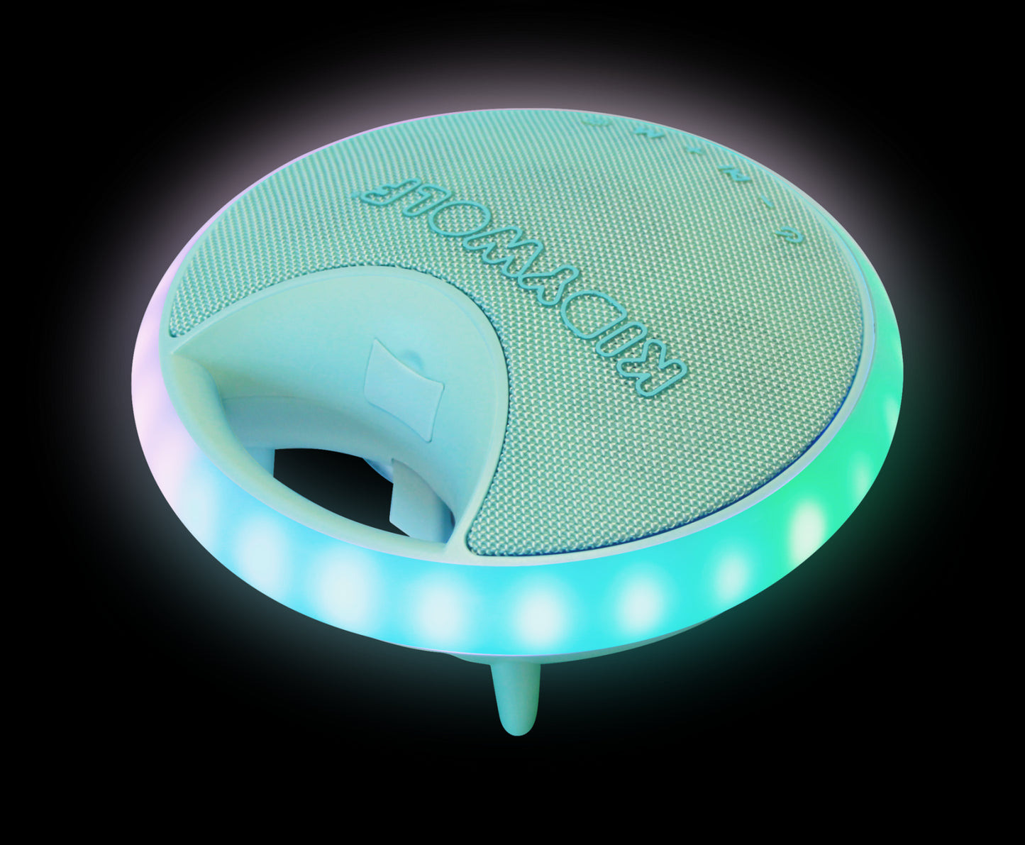 kidykaraoke set met 2 microfoons