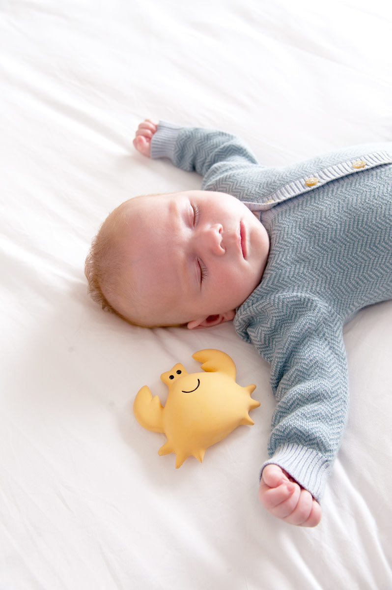 bijtring & rammelaar - krab