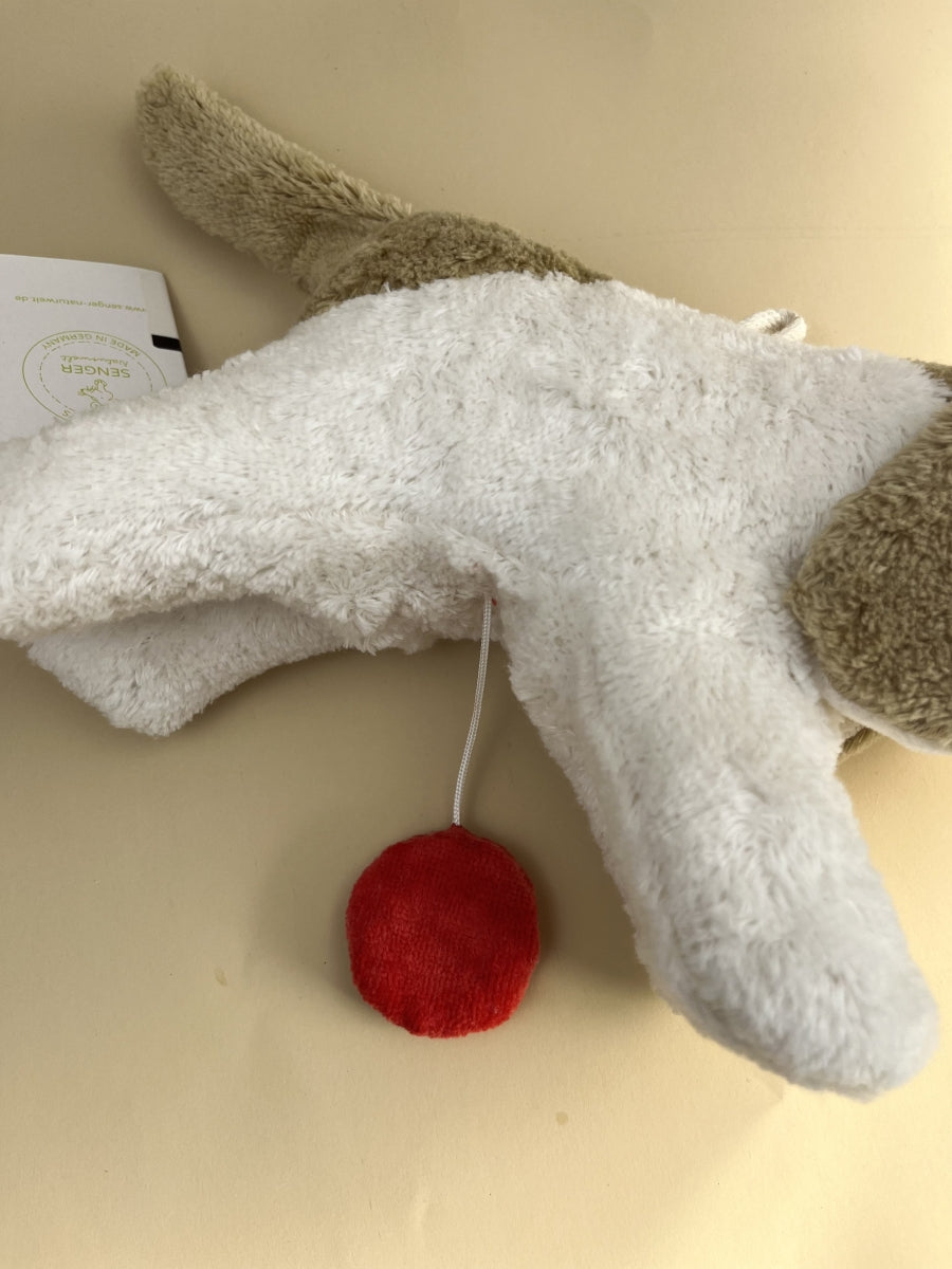 muziekspeeltje - hond