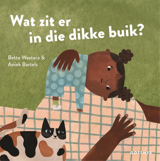 wat zit er in die dikke buik? - flapjesboek