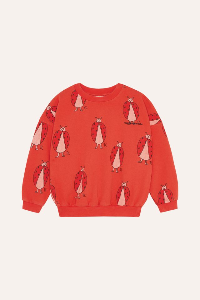ladybug allover sweatshirt - laatste maat 2Y