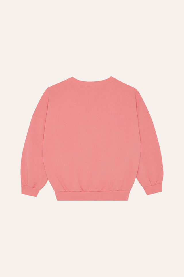 falling star sweatshirt - kids
