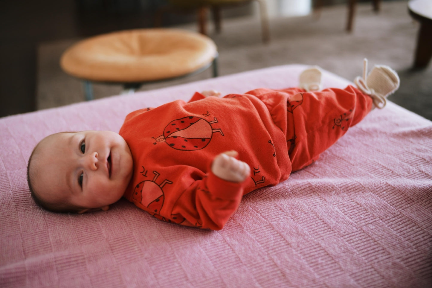 ladybug allover jogging - 18/24M
