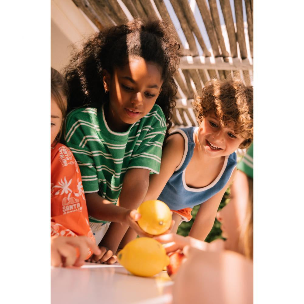 terry t-shirt jordan - summer green stripes