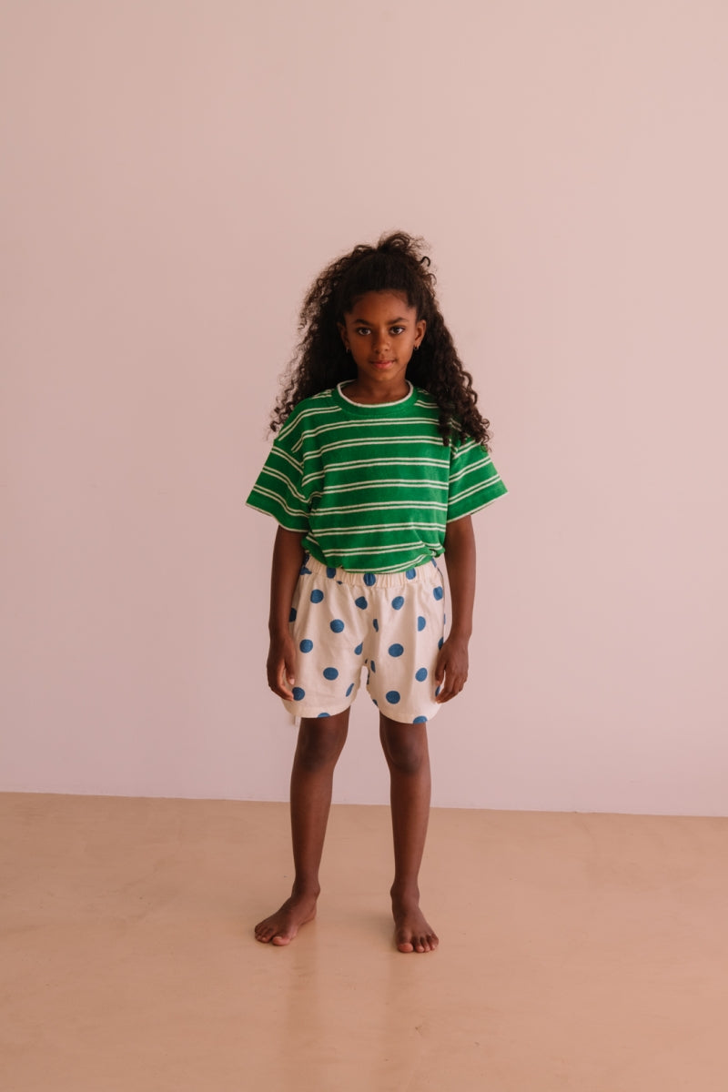 terry t-shirt jordan - summer green stripes