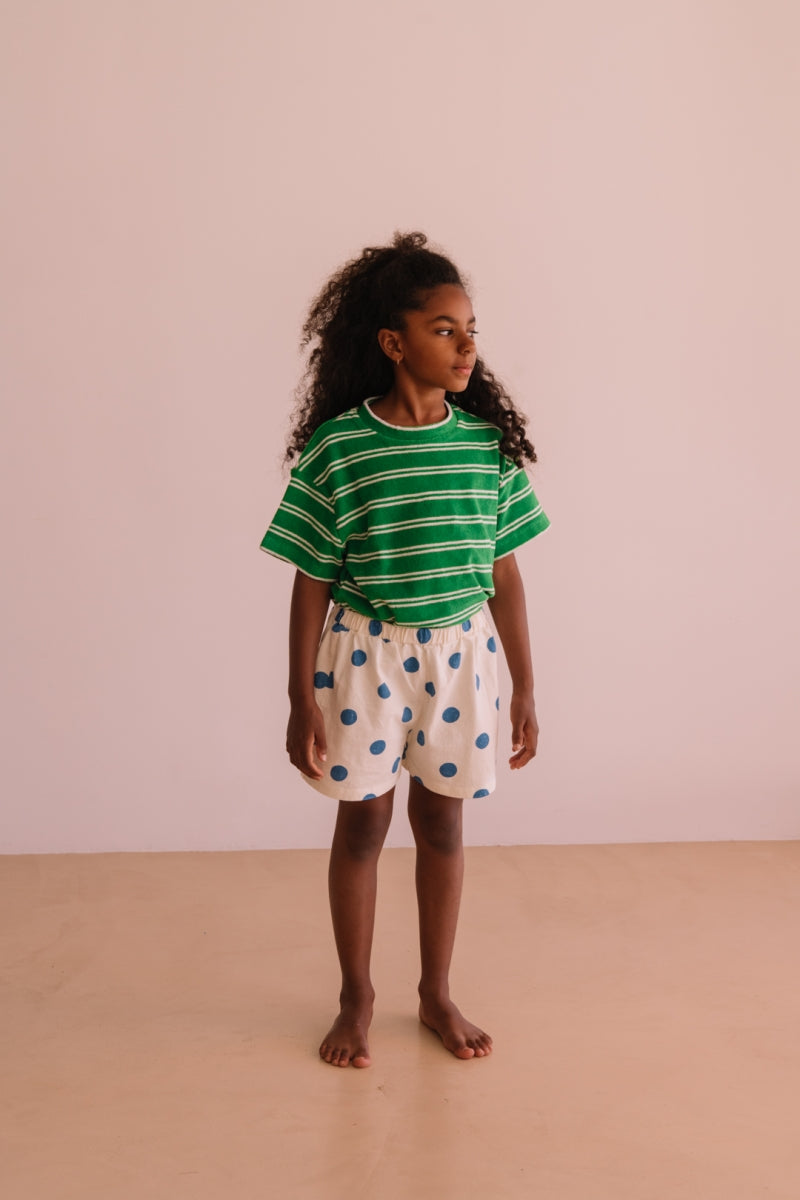 terry t-shirt jordan - summer green stripes