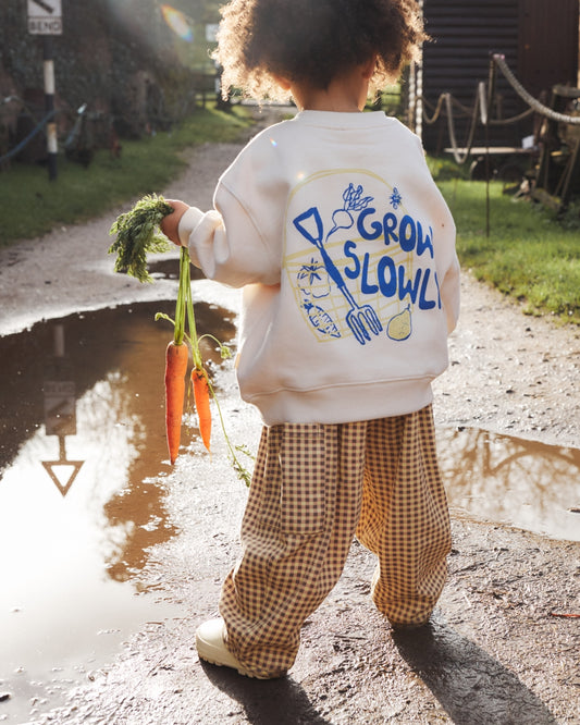 sweater carner - grow slowly