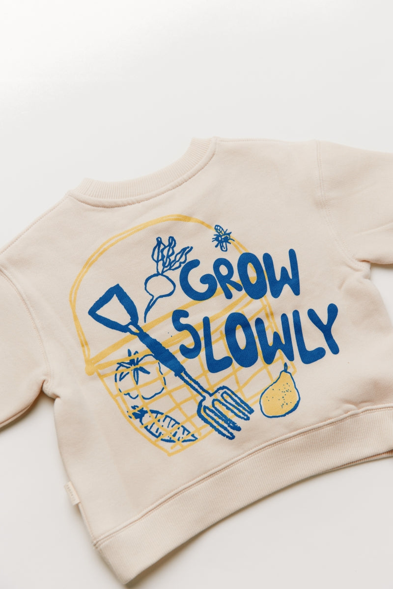 sweater carner - grow slowly