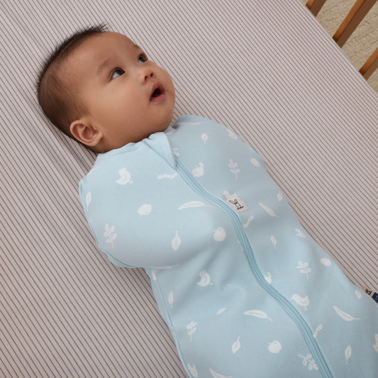 ergococoon inbakerslaapzak 1 TOG - ducks (0-3M)