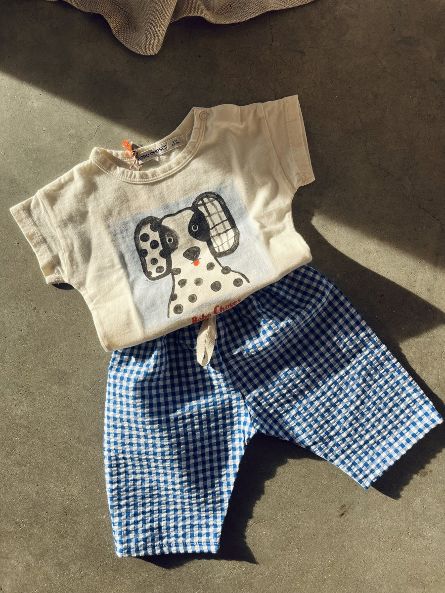 vichy pants - blue