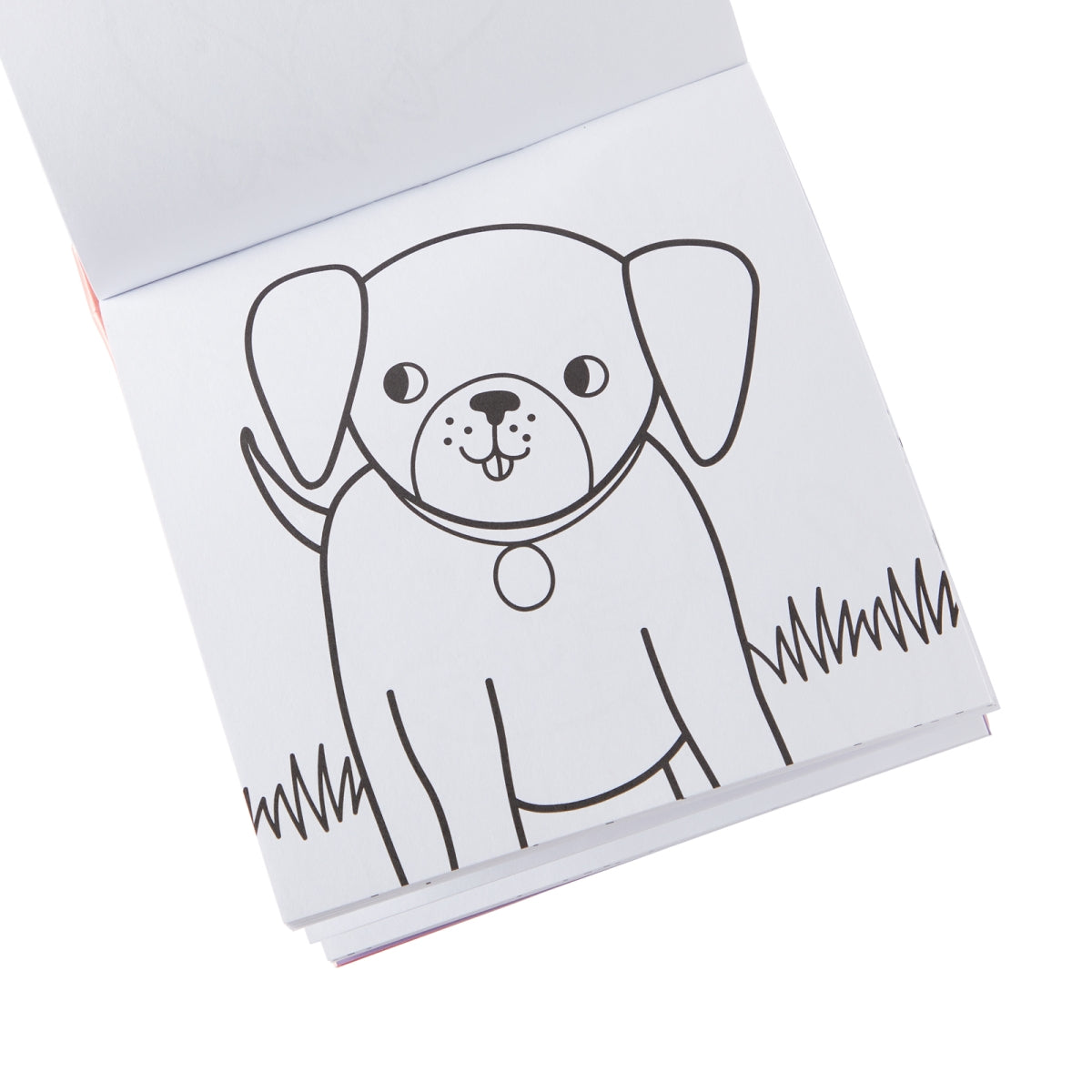 pet pals - set van kleurboek & 9 jumbo wasco's