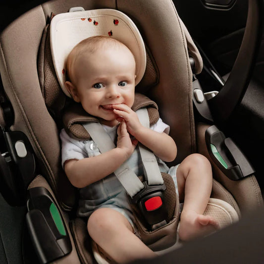 aeromoov air layer - groep 0 -  lady bug