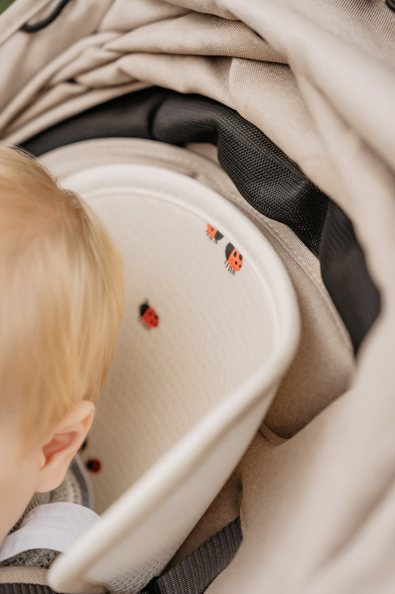 aeromoov air layer - groep B -  lady bug