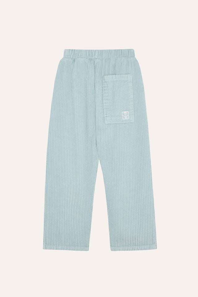 light blue corduroy trousers - kids