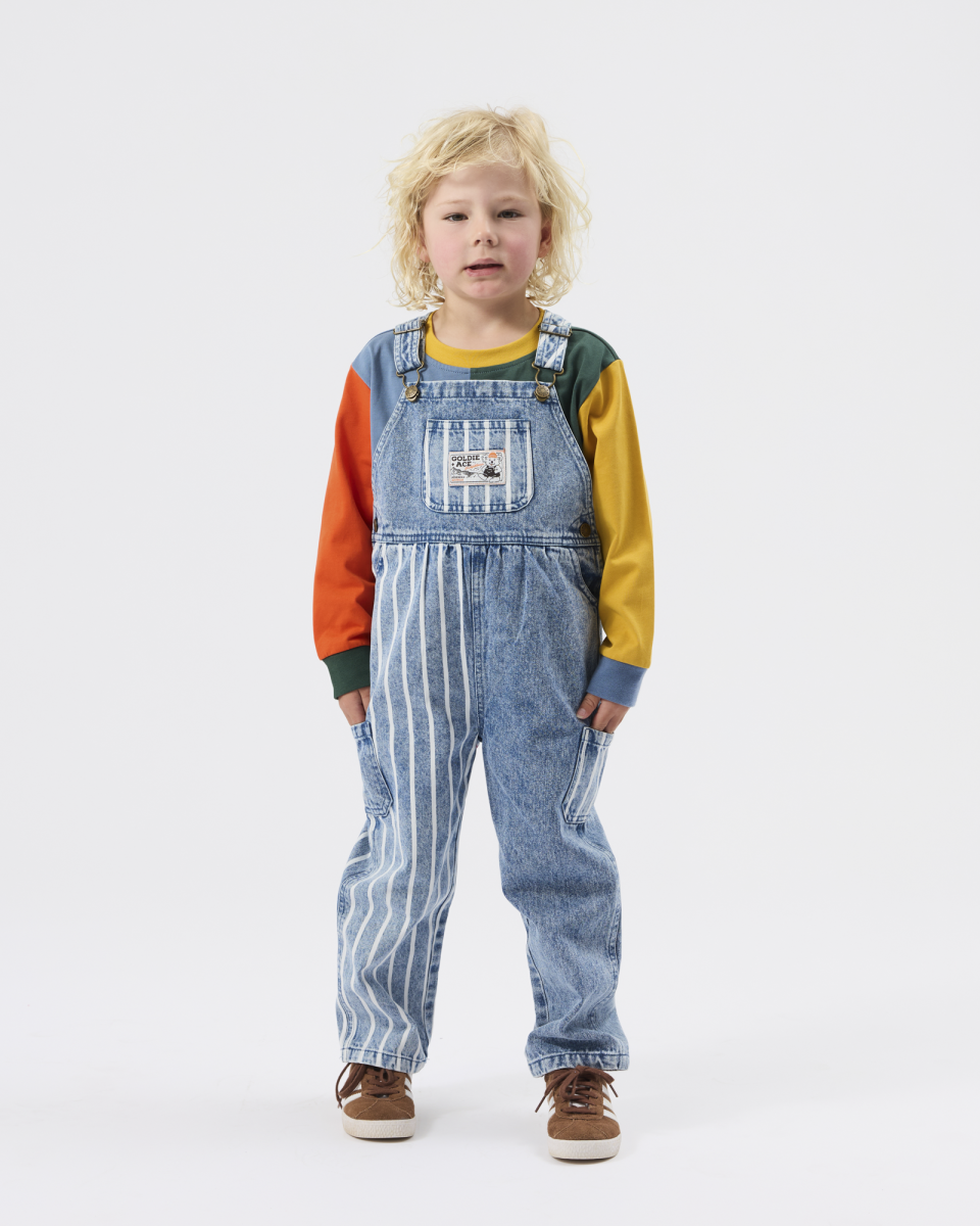 austin stripe denim panel overalls