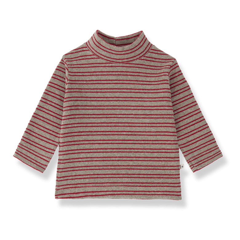 sylvan turtle neck shirt - fiamma
