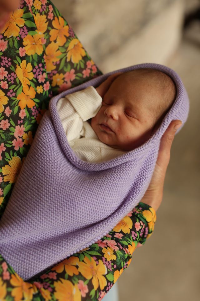 cocoon - lilac