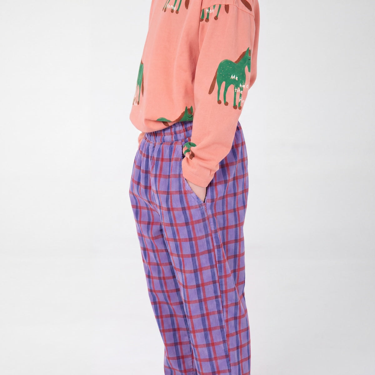 corduroy pants - checks - lavender
