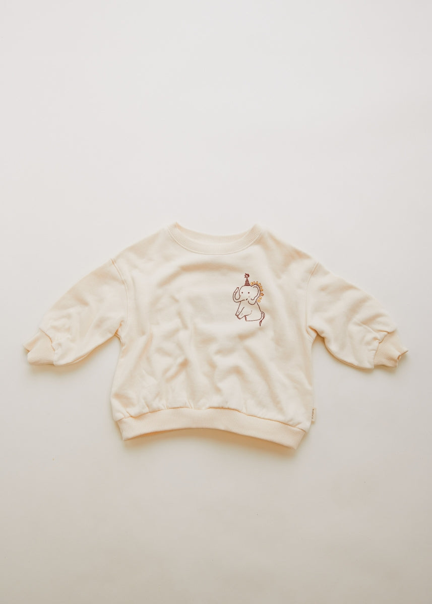 carner claude's curiosities sweater