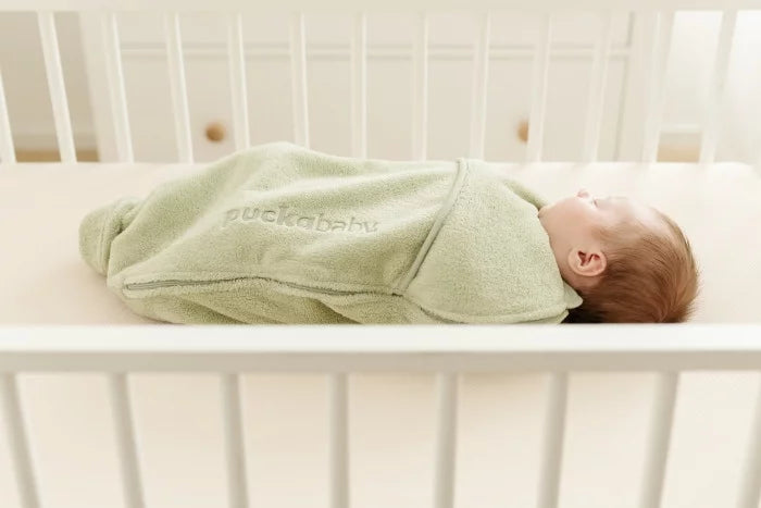 inbakerslaapzak piep teddy - olive  - TOG 2.0