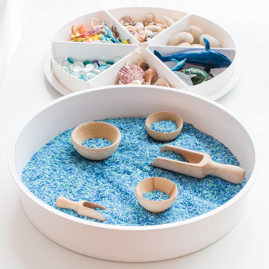 speel tray - open einde speelbak incl deksel en compartimenten