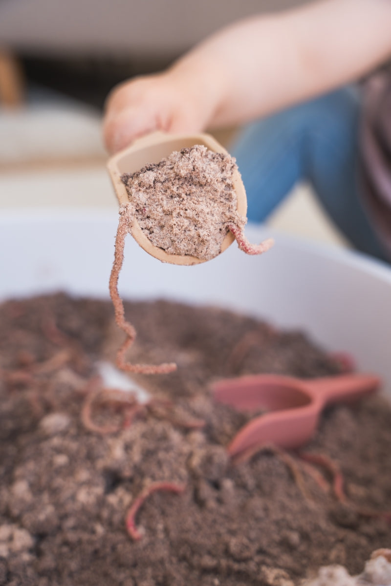 speel tray - open einde speelbak incl deksel en compartimenten