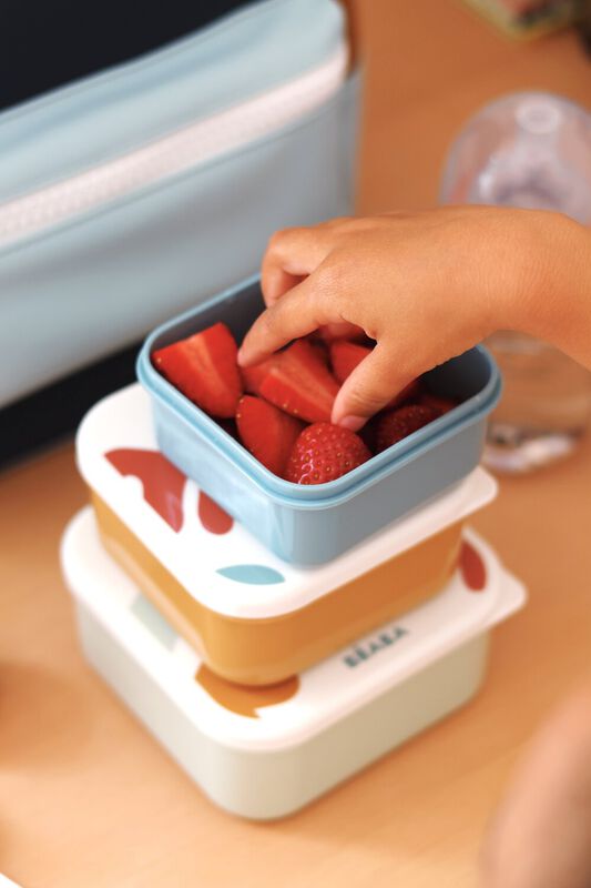 set van 3 snack doosjes - playful