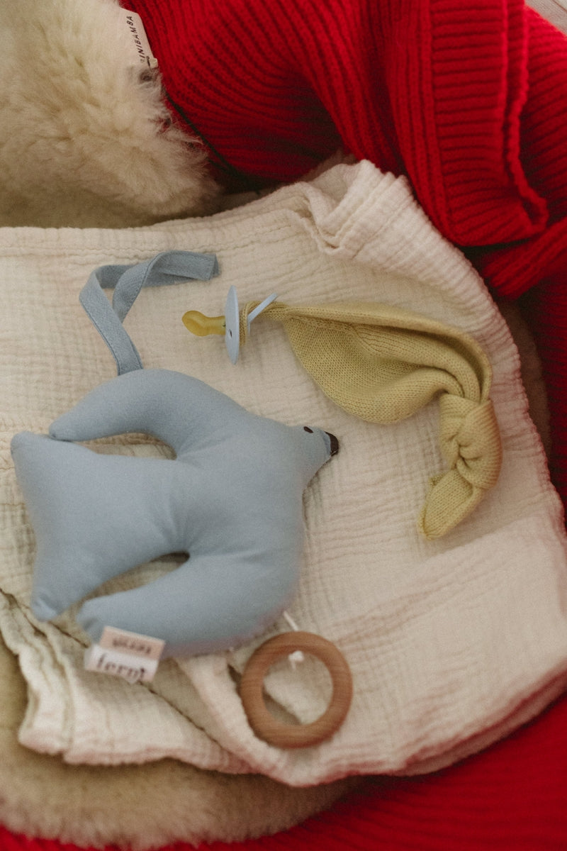 swif bird muziek mobiel - blue fog