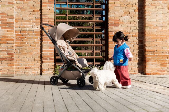 aer2 buggy - sandy taupe