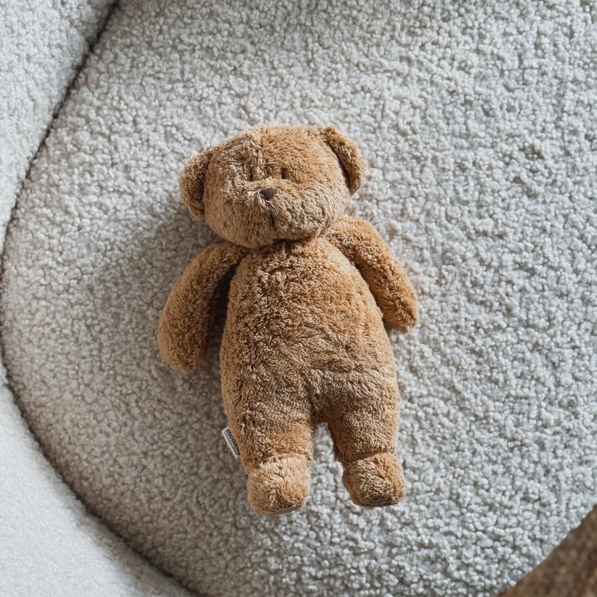 moonie the humming bear - cappuccino 2.0