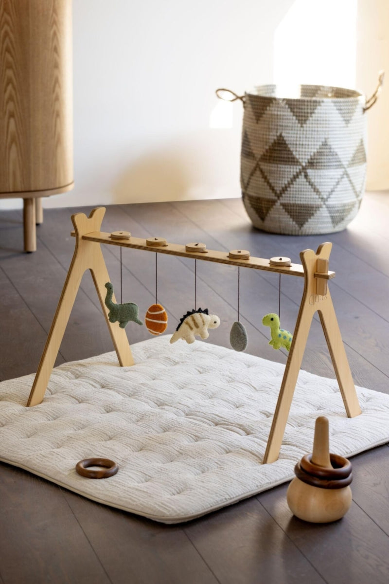 set van 5 speeltjes - dino