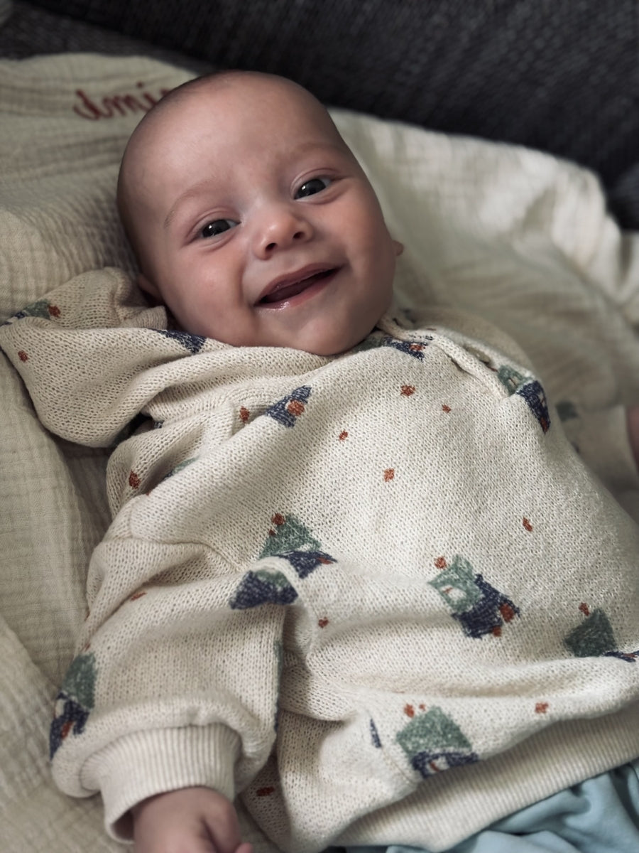 printed jersey sweater - baby - pencil - houses