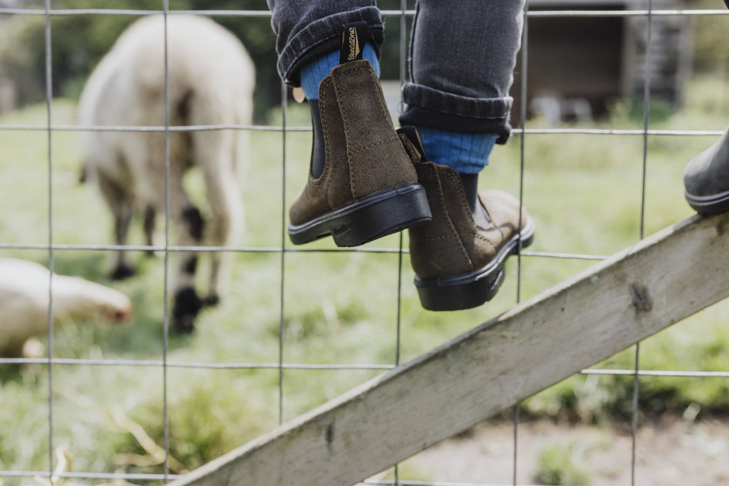 blundstone boots kids - suede dark olive