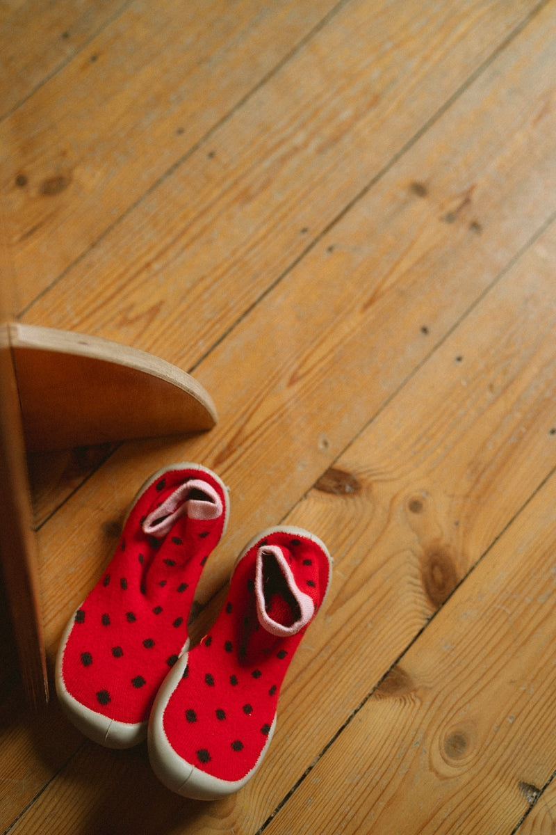 anti-slip pantoffels - porte bonheur