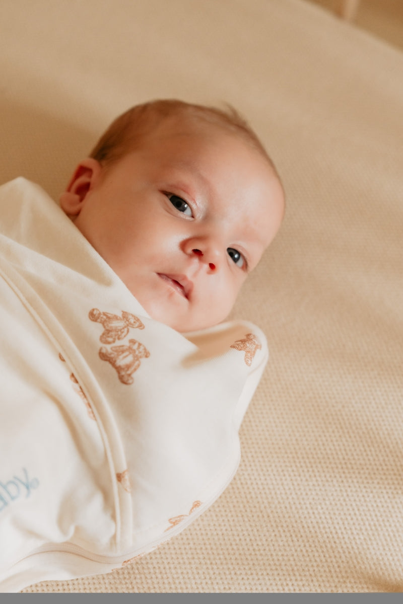 inbakerslaapzak piep - teddy bears - TOG 0.5