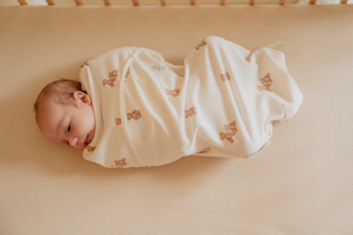 inbakerslaapzak piep - teddy bears - TOG 0.5