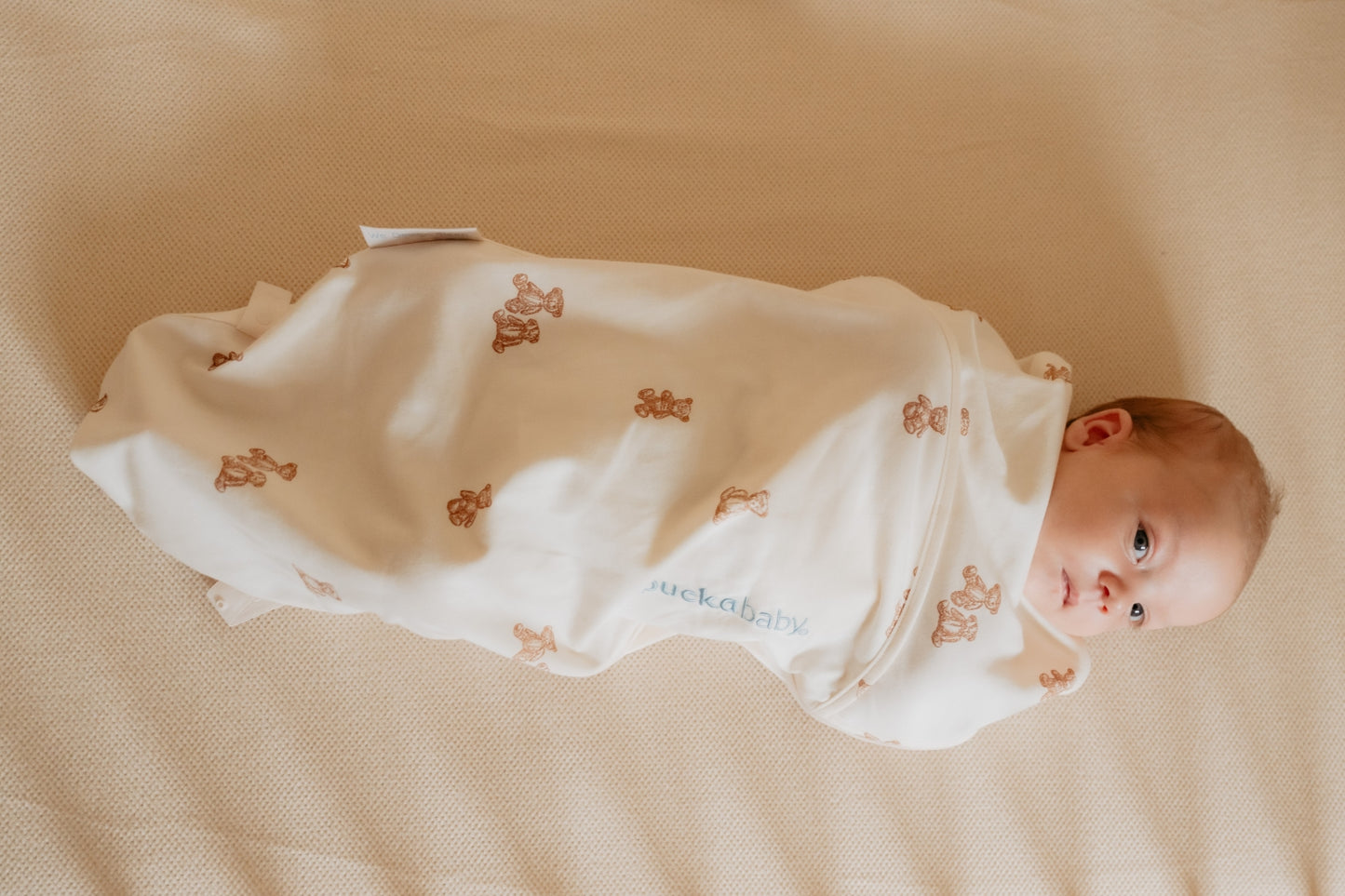 inbakerslaapzak piep - teddy bears - TOG 0.5