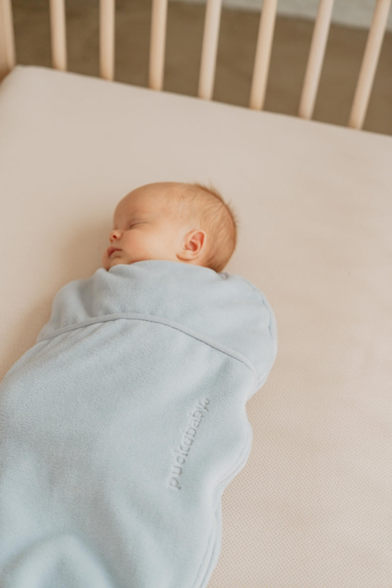 inbakerslaapzak piep teddy - sky - TOG 2.0