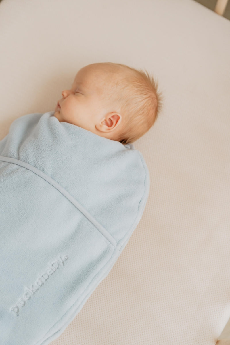 inbakerslaapzak piep teddy - sky - TOG 2.0