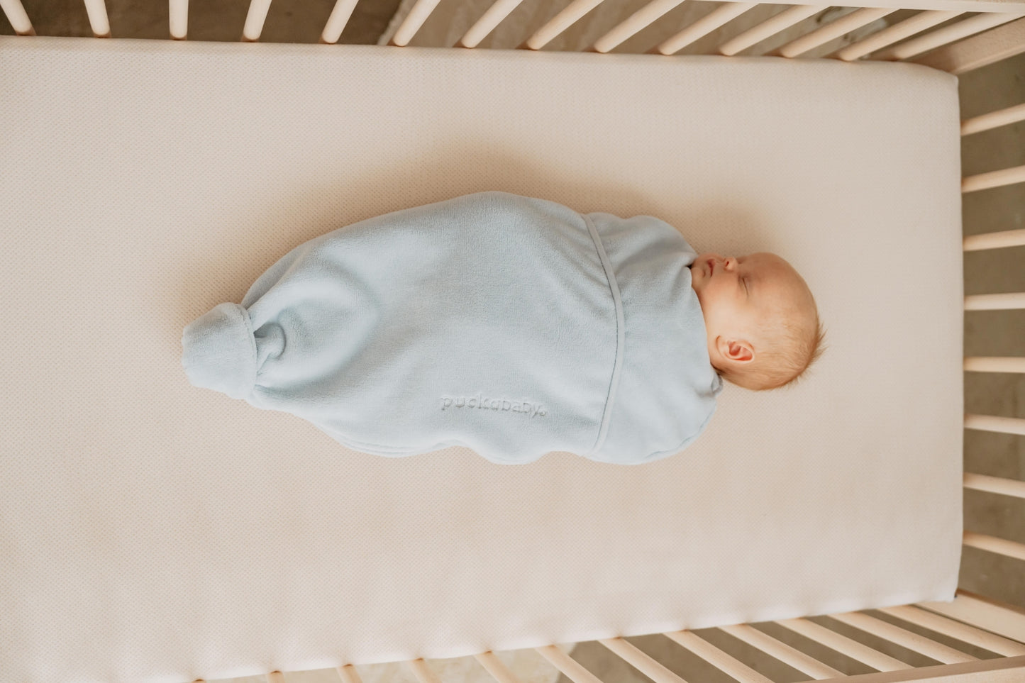 inbakerslaapzak piep teddy - sky - TOG 2.0