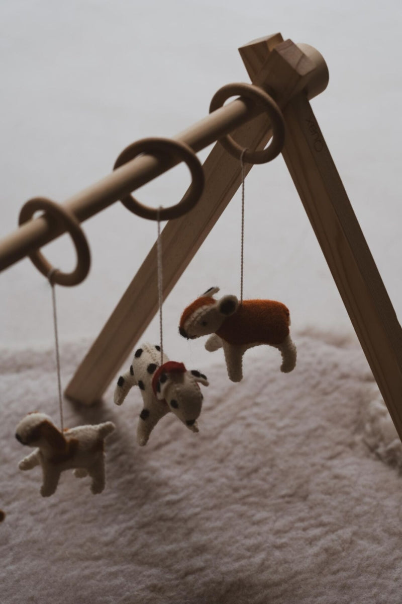 set van 5 speeltjes - hondjes