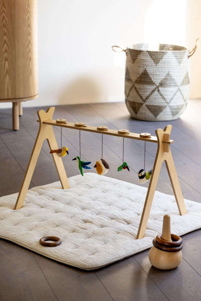 set van 5 speeltjes - vogels