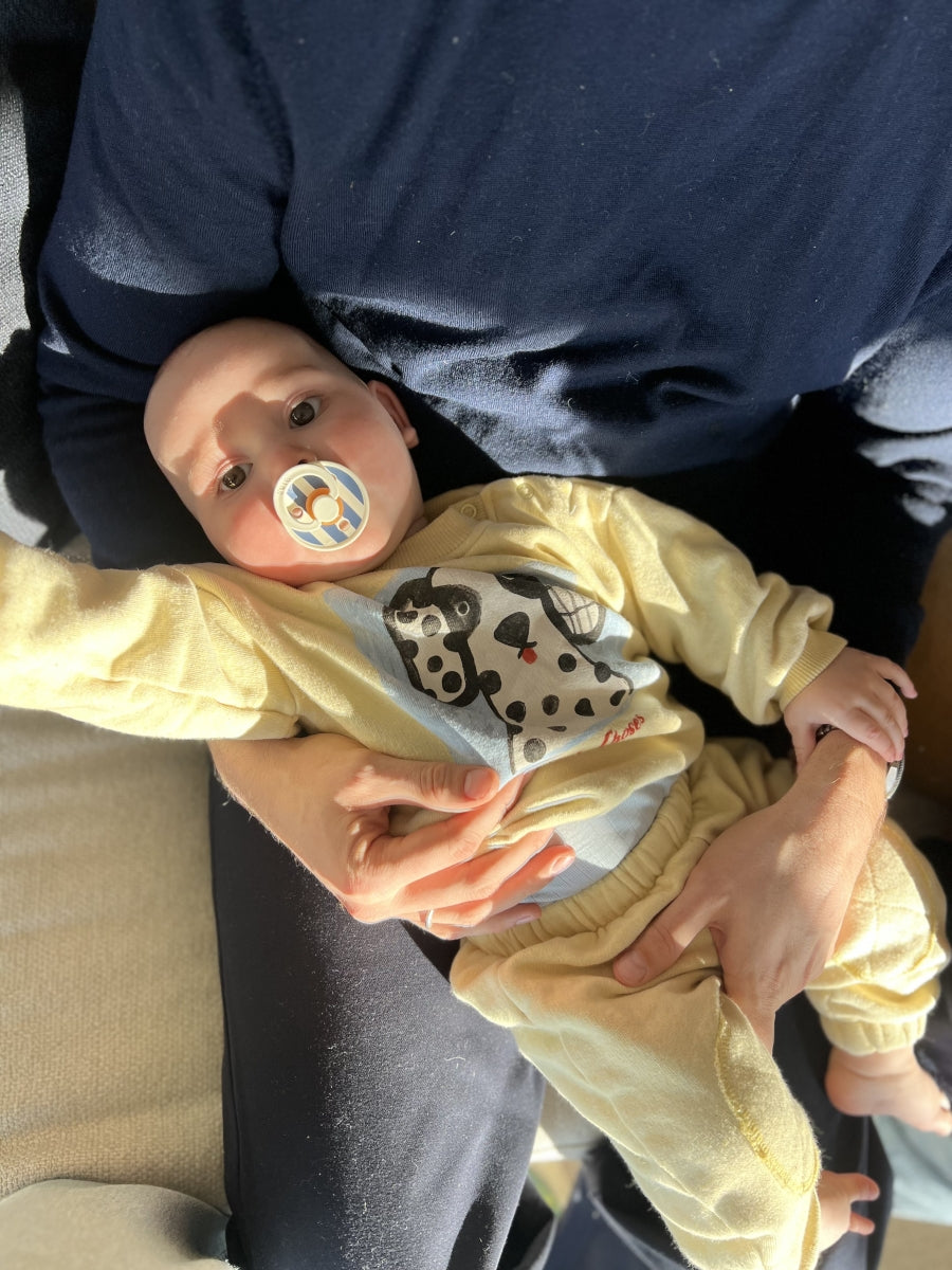 van dog sweatshirt - yellow